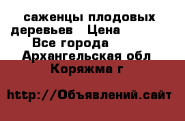 саженцы плодовых деревьев › Цена ­ 6 080 - Все города  »    . Архангельская обл.,Коряжма г.